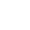 Smart Access Logo